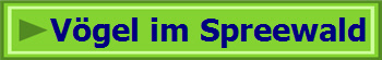 Vögel im Spreewald